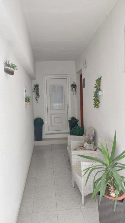 Apartments Mestral Baška Voda Eksteriør billede
