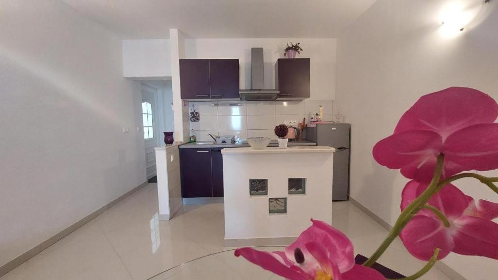 Apartments Mestral Baška Voda Eksteriør billede